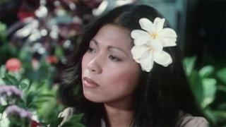 Nightmare in Hawaii