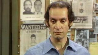 The Vigilante The Vigilante