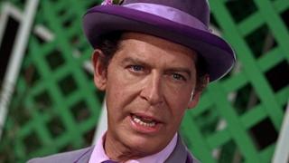 Louie, the Lilac Louie, the Lilac