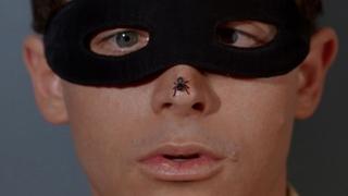 Penguin's Clean Sweep