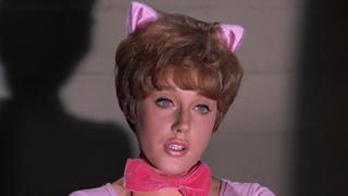 Scat, Darn Catwoman Scat, Darn Catwoman