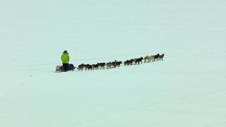 Alaska's Call of the Wild Alaska's Call of the Wild