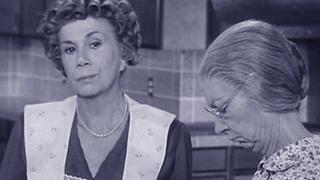 The Beverly Hillbillies