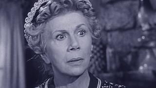 The Beverly Hillbillies