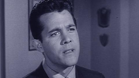 Elly Becomes a Secretary