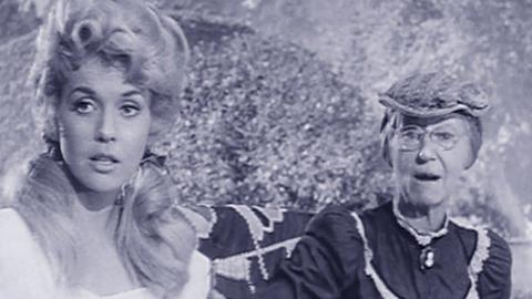 Hair Raising Holiday