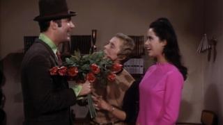 The Beverly Hillbillies