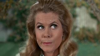 Samantha's da Vinci Dilemma Samantha's da Vinci Dilemma