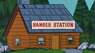 Bears and Bees; Paws for Applause; Duck Hunting