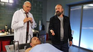 Someone's Got a Woody Someone's Got a Woody