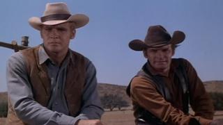 The Brawlers The Brawlers