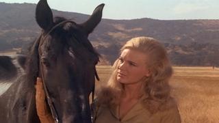 The Murdered Party The Murdered Party