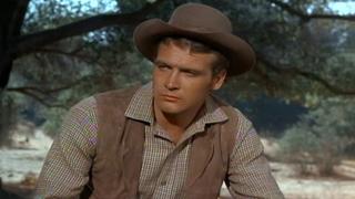 The Last Train to the Fair The Last Train to the Fair