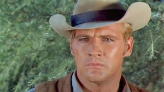 Day of Terror Day of Terror