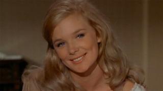 Hide the Children Hide the Children