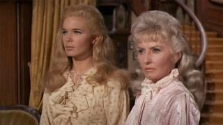 The Stallion The Stallion