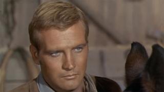 The Haunted Gun The Haunted Gun