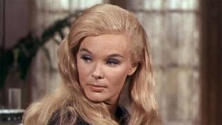 Cage of Eagles Cage of Eagles