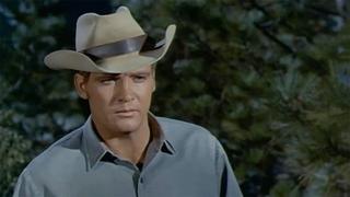 The Buffalo Man The Buffalo Man