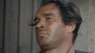 Run of the Cat Run of the Cat