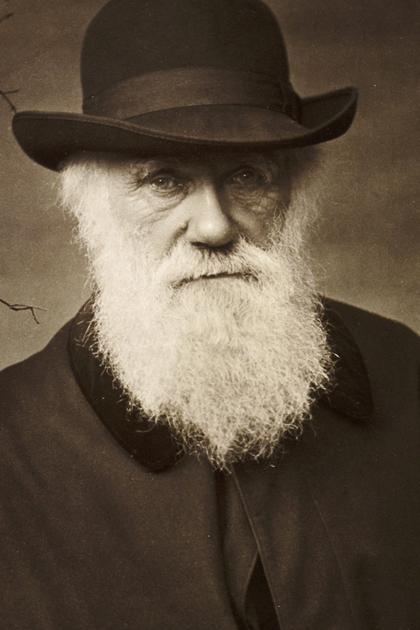 Questioning Darwin