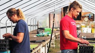 Farm Kings