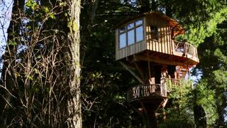 Treehouse Masters