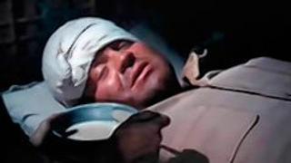 A Single Pilgrim A Single Pilgrim