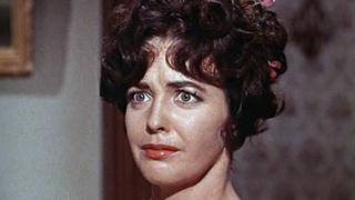 Breed of Violence Breed of Violence