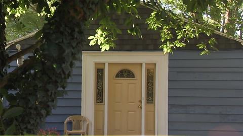 Mighty Mountain Puppies