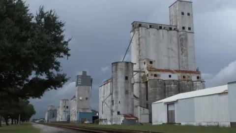 No Average Troublemaker