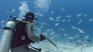 Bull Sharks/Inner Space at NASA Bull Sharks/Inner Space at NASA