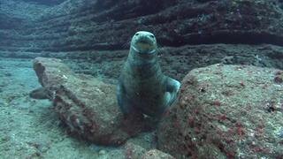 Hawaii, Bonaire & Massachusetts Hawaii, Bonaire & Massachusetts