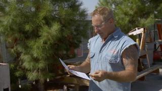 Shocks, Locks and Clocks