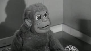 What Goes Up What Goes Up