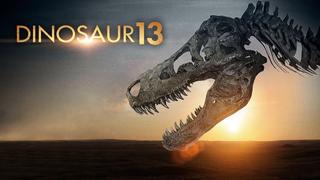 Dinosaur 13