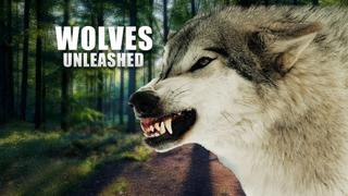  watch Wolves Unleashed