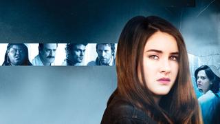 White Bird in a Blizzard