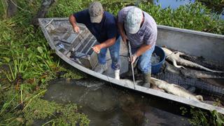 Swamp People