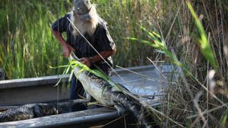 Swamp Ambush Swamp Ambush