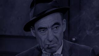 Toody Undercover Toody Undercover