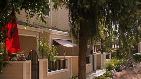 Kittens in Wonderland