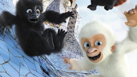 Snowflake, the White Gorilla