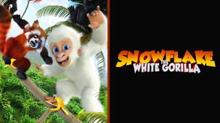 watch Snowflake, the White Gorilla