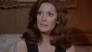 The Vegas Connection