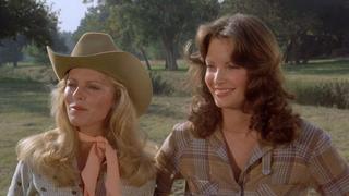 Angels on Horseback Angels on Horseback