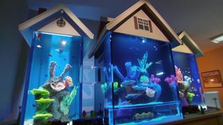 Tanked