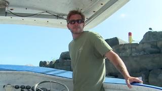 Belugas, Cousteau's Blue Hole and Spinner Dolphins
