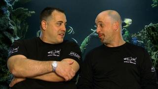 Tanked