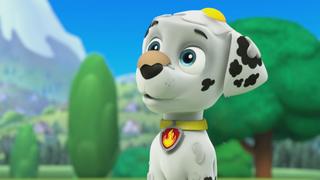 PAW Patrol